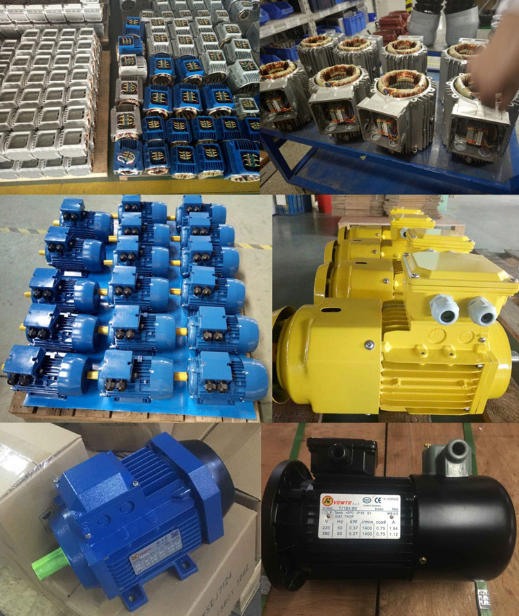 VEMT三相異步電動機(jī) VEMT三相異步電動機(jī)